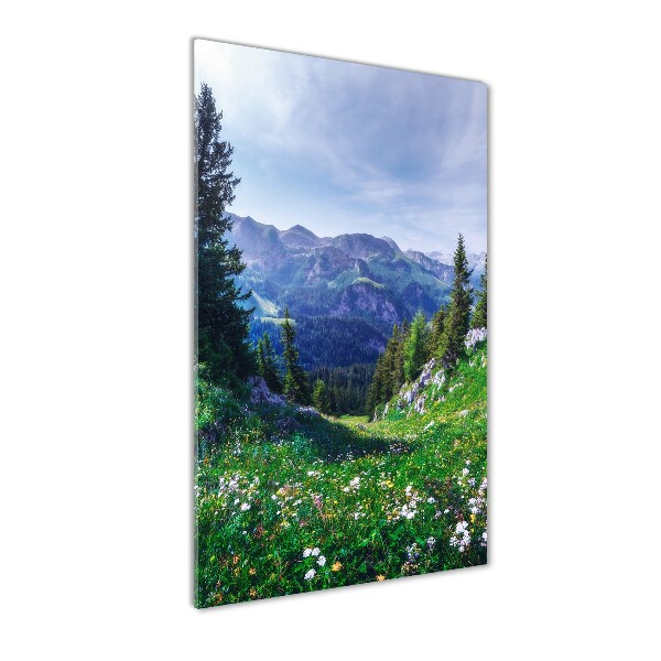 Cuadro de cristal moderno efecto brillo vertical Alpes