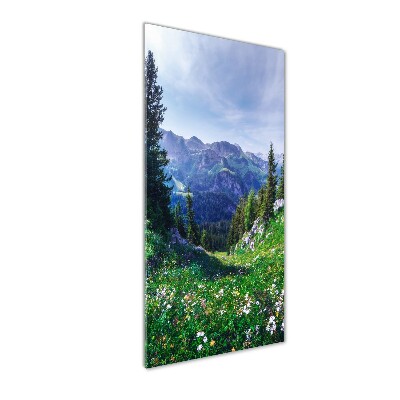 Cuadro de cristal moderno efecto brillo vertical Alpes