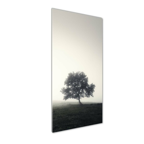 Cuadro de vidrio templado 4mm para pared vertical Árbol en la niebla