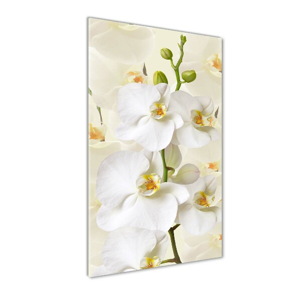Fotocuadro de cristal elegante para hogar vertical Orquídea blanca