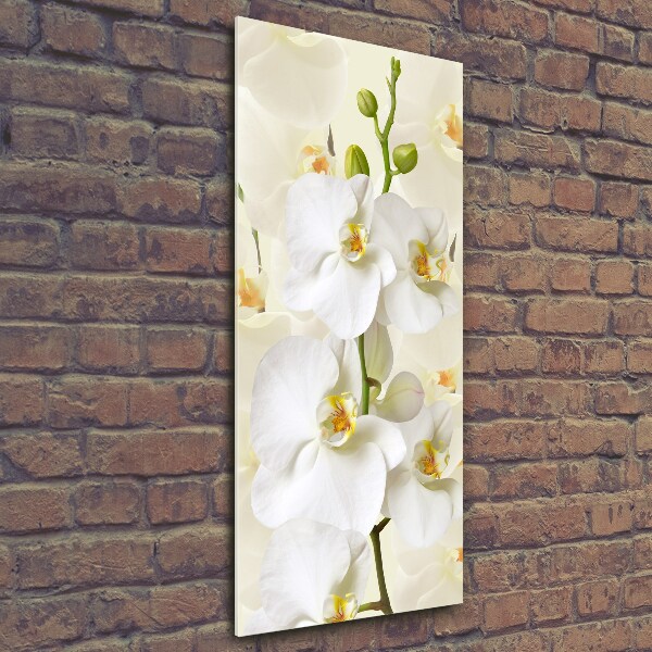 Fotocuadro de cristal elegante para hogar vertical Orquídea blanca
