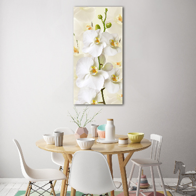 Fotocuadro de cristal elegante para hogar vertical Orquídea blanca
