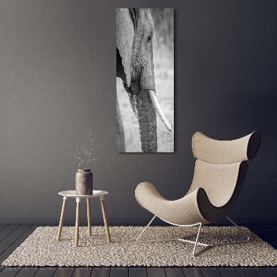 Fotocuadro de cristal elegante para hogar vertical Elefante