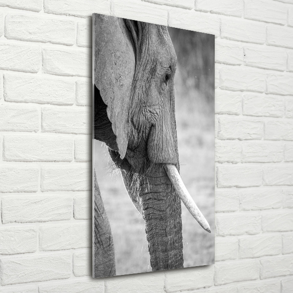 Fotocuadro de cristal elegante para hogar vertical Elefante