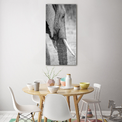 Fotocuadro de cristal elegante para hogar vertical Elefante