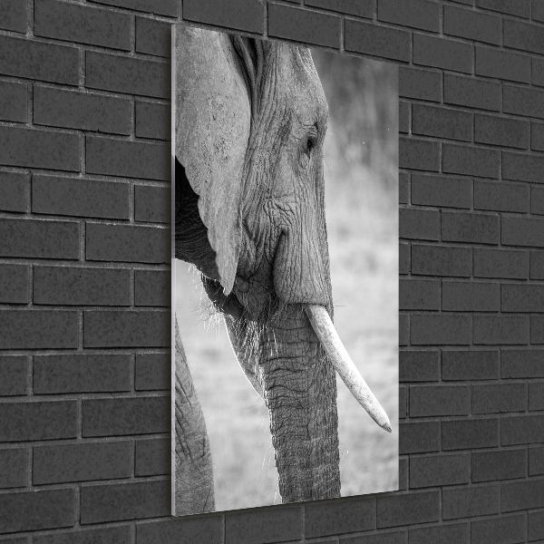 Fotocuadro de cristal elegante para hogar vertical Elefante
