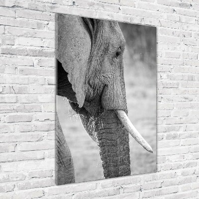 Fotocuadro de cristal elegante para hogar vertical Elefante