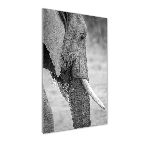 Fotocuadro de cristal elegante para hogar vertical Elefante