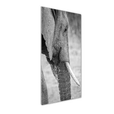 Fotocuadro de cristal elegante para hogar vertical Elefante