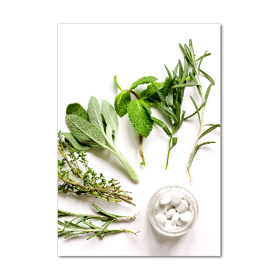 Cuadro de cristal moderno efecto brillo vertical Hierbas