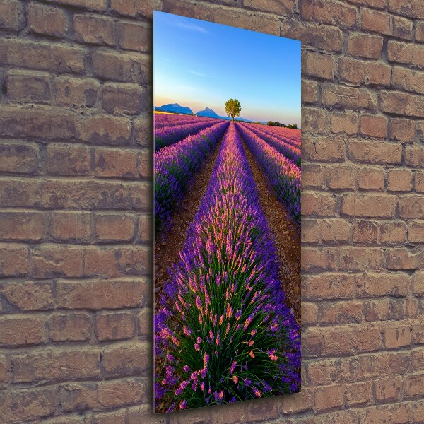 Cuadro decorativo en cristal con canto pulido vertical campo de lavanda