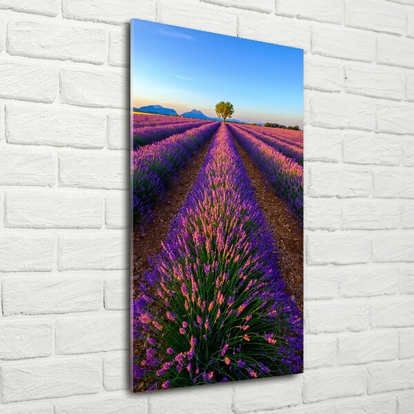 Cuadro decorativo en cristal con canto pulido vertical campo de lavanda