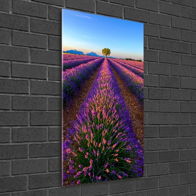 Cuadro decorativo en cristal con canto pulido vertical campo de lavanda