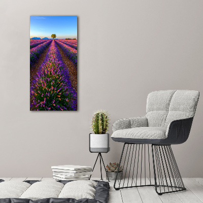 Cuadro decorativo en cristal con canto pulido vertical campo de lavanda