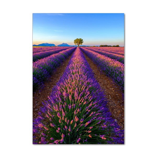 Cuadro decorativo en cristal con canto pulido vertical campo de lavanda