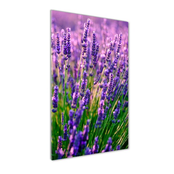 Cuadro decorativo en cristal con canto pulido vertical campo de lavanda