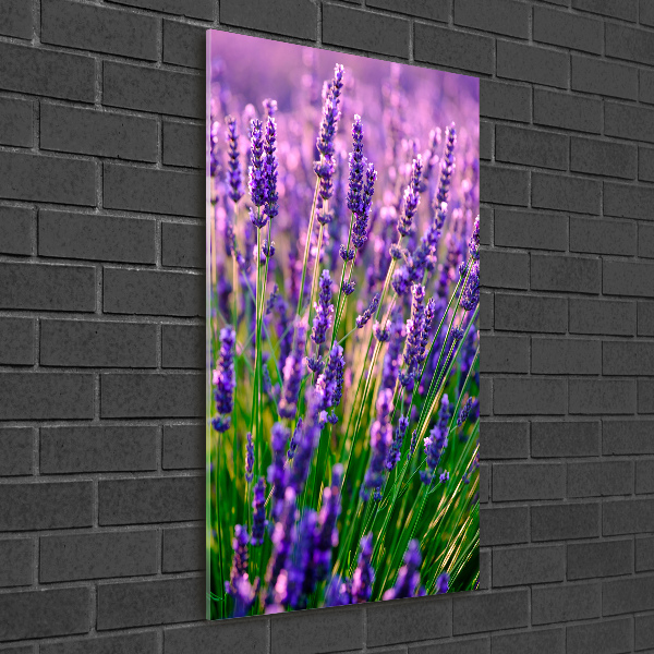Cuadro decorativo en cristal con canto pulido vertical campo de lavanda