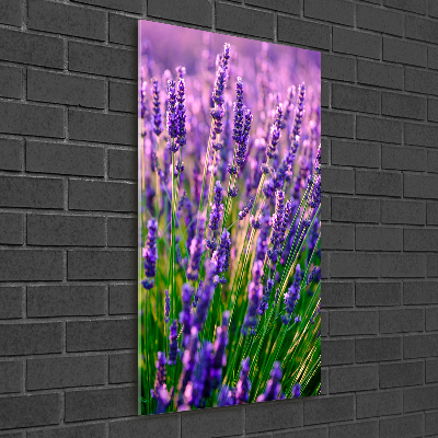 Cuadro decorativo en cristal con canto pulido vertical campo de lavanda