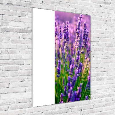 Cuadro decorativo en cristal con canto pulido vertical campo de lavanda