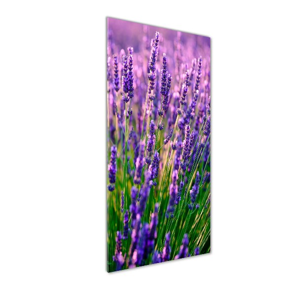 Cuadro decorativo en cristal con canto pulido vertical campo de lavanda