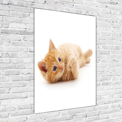 Fotocuadro de cristal elegante para hogar vertical Pequeño gato pelirrojo