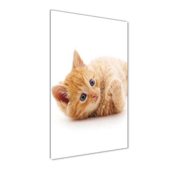 Fotocuadro de cristal elegante para hogar vertical Pequeño gato pelirrojo