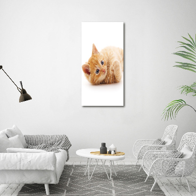 Fotocuadro de cristal elegante para hogar vertical Pequeño gato pelirrojo