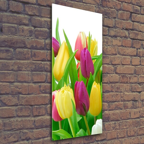 Cuadro de vidrio templado 4mm para pared vertical tulipanes coloridos