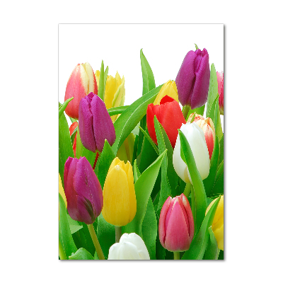 Cuadro de vidrio templado 4mm para pared vertical tulipanes coloridos
