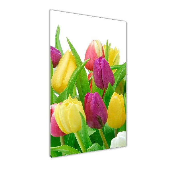 Cuadro de vidrio templado 4mm para pared vertical tulipanes coloridos