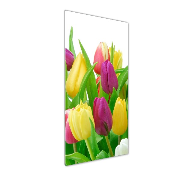 Cuadro de vidrio templado 4mm para pared vertical tulipanes coloridos