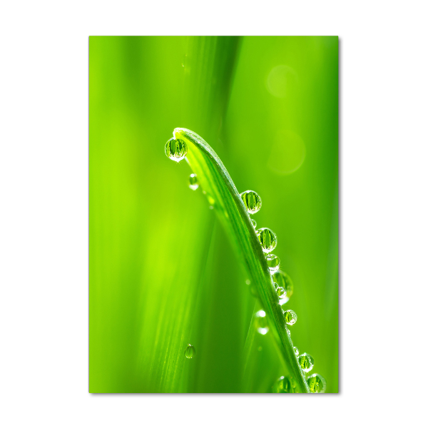 Fotocuadro de cristal elegante para hogar vertical Briznas de hierba