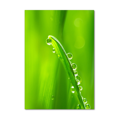 Fotocuadro de cristal elegante para hogar vertical Briznas de hierba