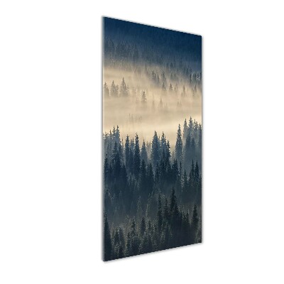 Cuadro decorativo en cristal con canto pulido vertical Niebla sobre el bosque