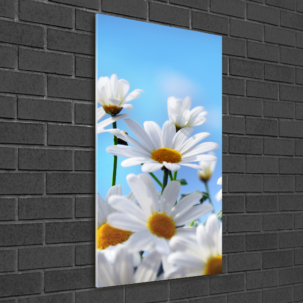 Cuadro decorativo en cristal con canto pulido vertical margaritas