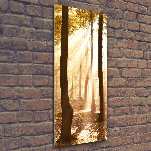 Fotocuadro de cristal elegante para hogar vertical Bosque en otoño