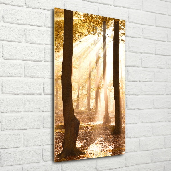 Fotocuadro de cristal elegante para hogar vertical Bosque en otoño