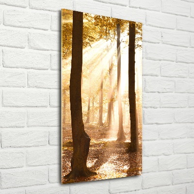 Fotocuadro de cristal elegante para hogar vertical Bosque en otoño
