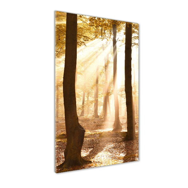 Fotocuadro de cristal elegante para hogar vertical Bosque en otoño
