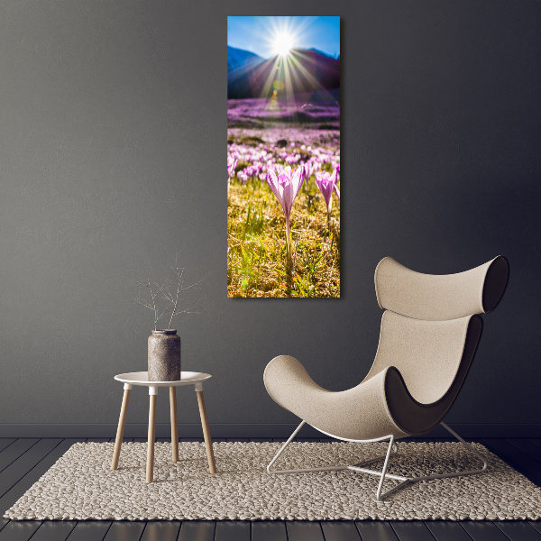 Fotocuadro de cristal elegante para hogar vertical Azafranes en las montañas