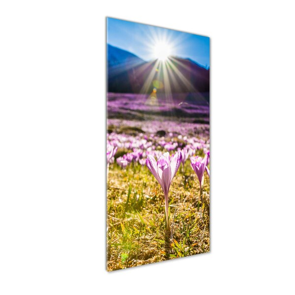 Fotocuadro de cristal elegante para hogar vertical Azafranes en las montañas