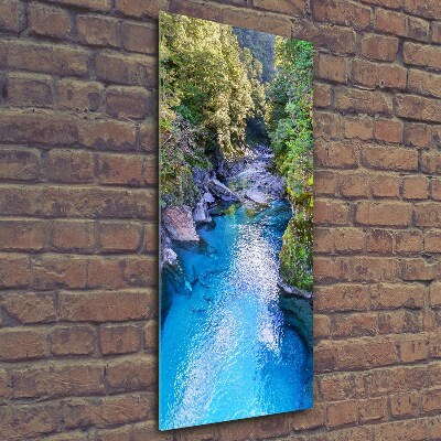 Fotocuadro de cristal elegante para hogar vertical Río en el bosque