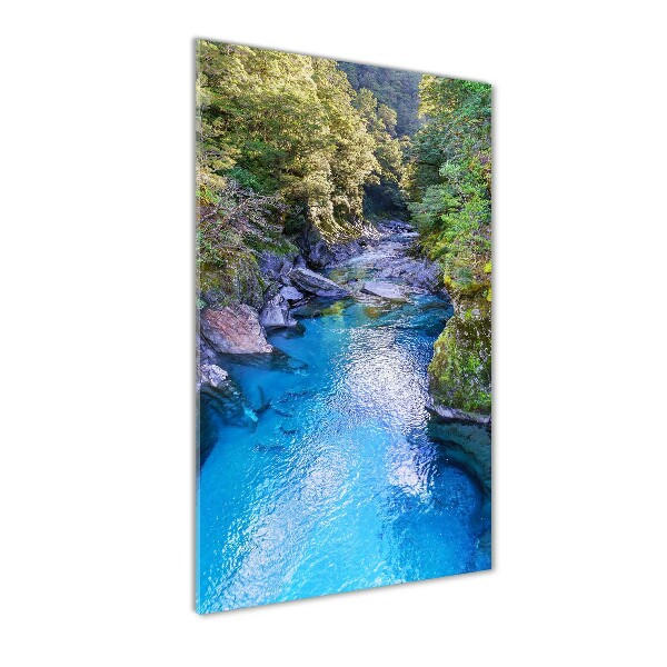 Fotocuadro de cristal elegante para hogar vertical Río en el bosque