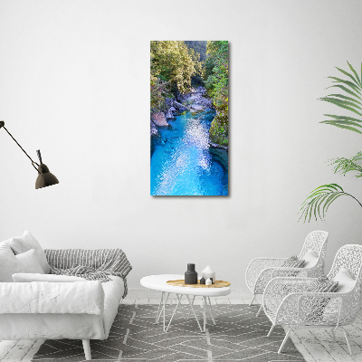 Fotocuadro de cristal elegante para hogar vertical Río en el bosque