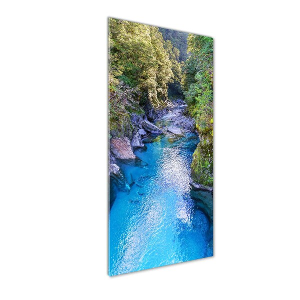 Fotocuadro de cristal elegante para hogar vertical Río en el bosque