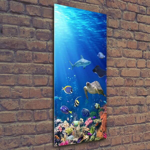 Cuadro decorativo en cristal con canto pulido vertical Arrecife de coral