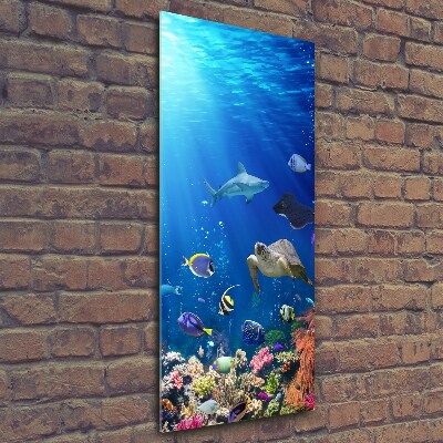 Cuadro decorativo en cristal con canto pulido vertical Arrecife de coral