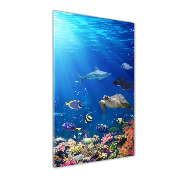 Cuadro decorativo en cristal con canto pulido vertical Arrecife de coral