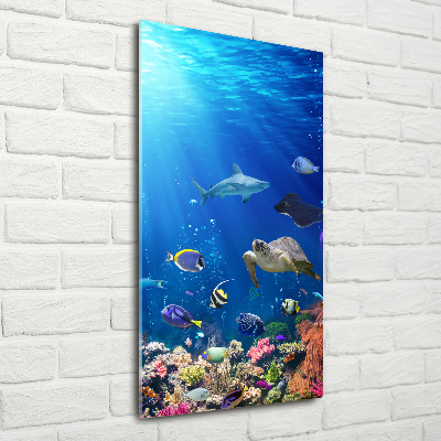 Cuadro decorativo en cristal con canto pulido vertical Arrecife de coral