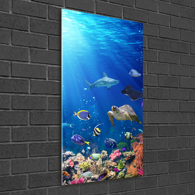 Cuadro decorativo en cristal con canto pulido vertical Arrecife de coral